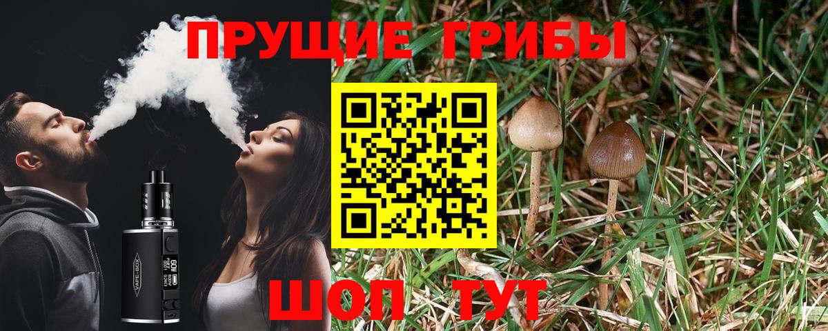 Усинск  Галлюциногенные грибы прущие грибы  Вход с VPN 